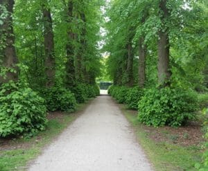 Lindelaan naar de Grotto, Oude Warande, Tilburg