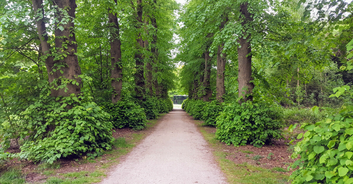 Lindelaan, Oude Warande, Grotto, Tilburg, voorjaar, 2019-05-22