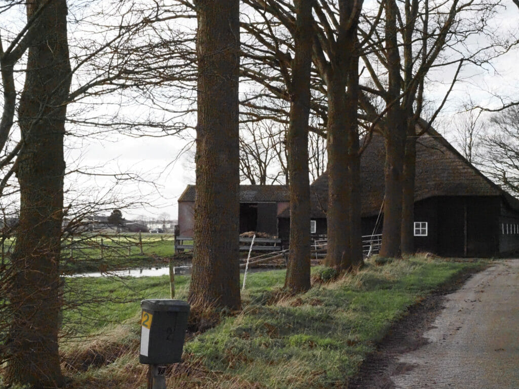Wijkevoort, Prinsenhoef 2, Tilburg, boerderij, melkveebedrijf, 2022-02-23. De topper van week 23|2022. (HB)